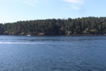 resIMG_20170708_112612_7920.JPG